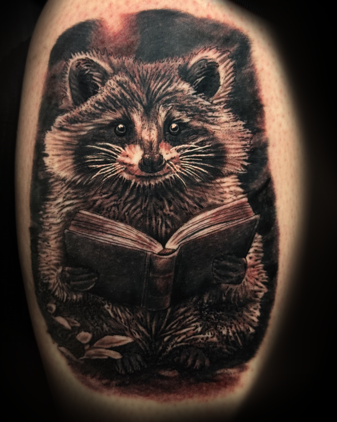 Raccoon with book, black & grey realism